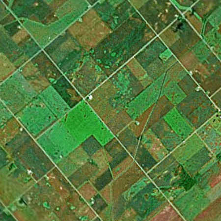 corn fields, somewhere in illinois