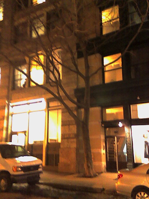 left tree at 80 wooster street