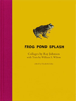 Frog Pond Splash