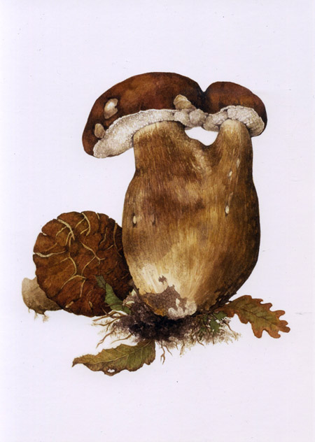 mushroomsSMALL